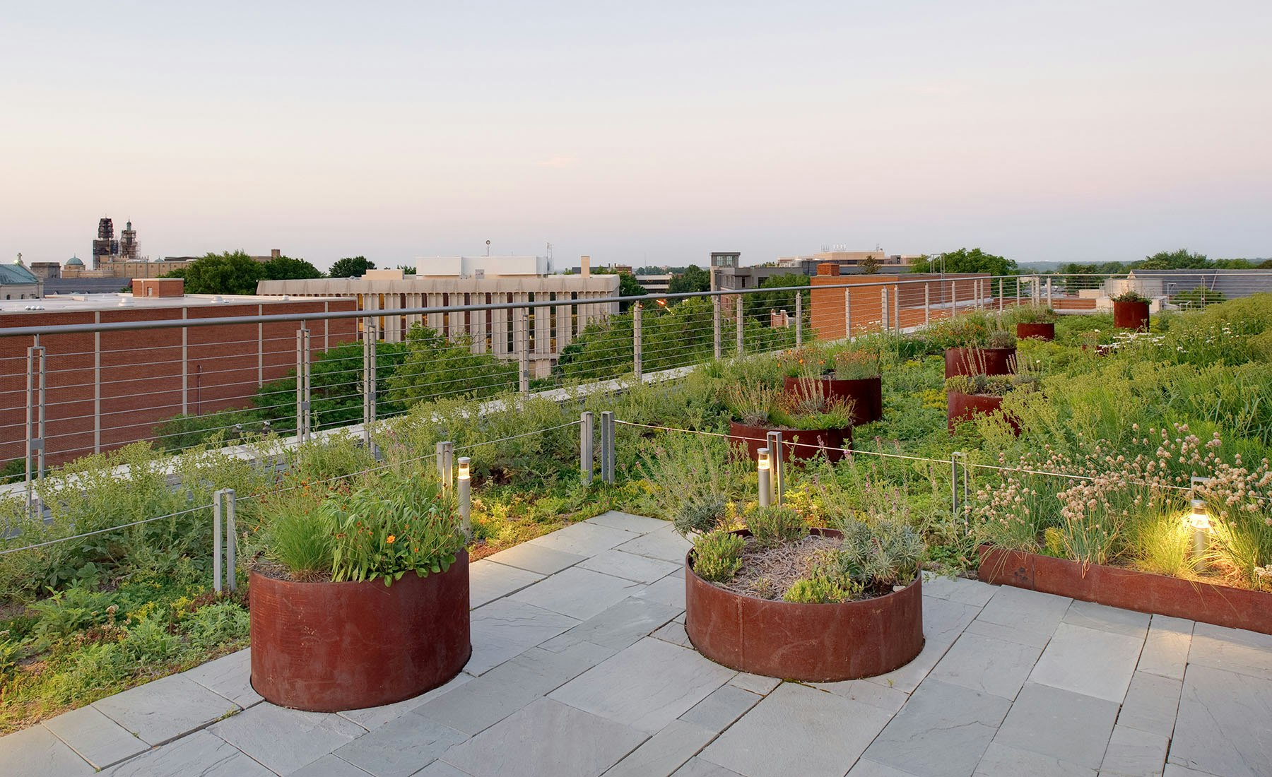The terrace includes a built-in wood bench crafted of Black Locust, a locally native and rot-resistant substitute for Teak. Salvaged steel planters animate the terrace and green roof area and bring many of the most-interesting plant species closer to eye level. The steel planters were cut from various diameters of salvaged steel pipe found at S.B. Cox in Richmond’s east end. 